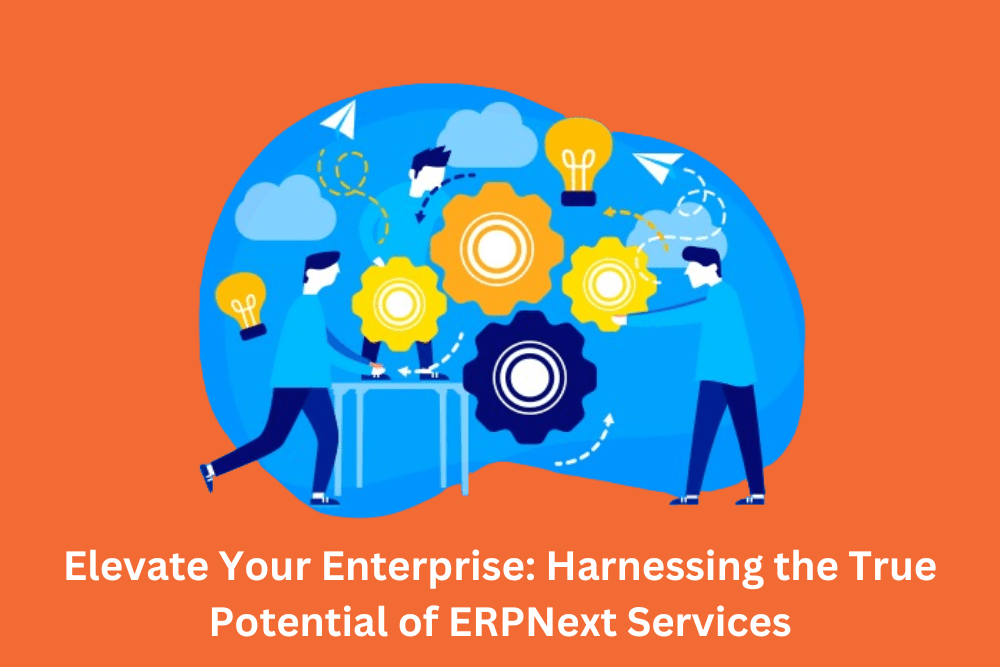 ERPNext Services